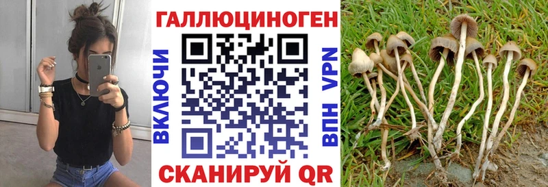 Псилоцибиновые грибы MAGIC MUSHROOMS Олёкминск