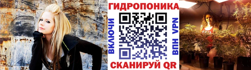 kraken сайт  Олёкминск  МАРИХУАНА THC 21% 